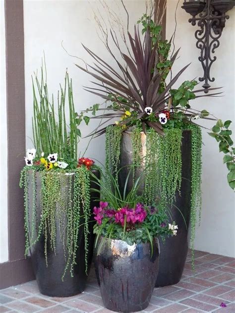 36 Awesome Succulent Front Yard Landscaping Ideas - MAGZHOUSE | Potted plants outdoor, Large ...