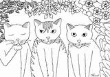 Tree Little Funny cats By Miwah  Cat Coloring Pages For Adults sketch template
