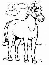 Horse coloring pages  ColoringLib sketch template