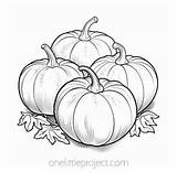 Pumpkin Coloring Pages  Free Printable Sheets sketch template