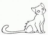 Cat Coloring Page Warrior  Home sketch template