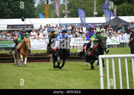 South of England Show, Ardingly 209 Stock Photo - Alamy