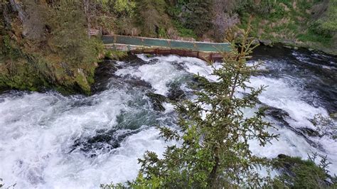 Breathe In Alaskan The Forest Through Russian River Falls Trail