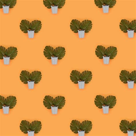 Premium Photo | Potted plants against orange wall