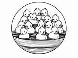Rubber Duckie Coloring Fun  Page sketch template