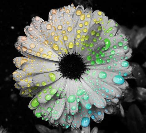 Colorful Raindrops | Bright Colors Raindrops Color Splash, Color Pop, Colour, Daisy Wallpaper ...