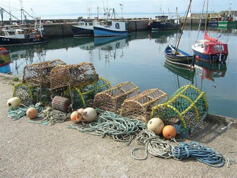 Maine Lobster Season: Is It Everything It’s Cracked Up to Be? - Seafood ...