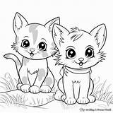 Kittens Coloring Pages sketch template
