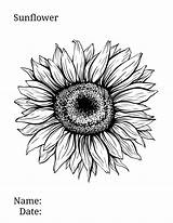 Sunflower coloring page 🌻 🎨 Brighten Your Day With Floral Fun sketch template