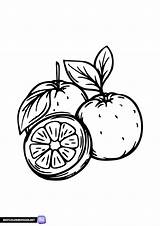 Coloring pages orange  Free printable coloring sketch template