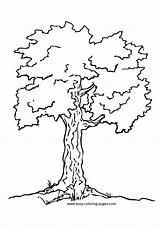 Easy coloring Pages Coloring Crafts For kids sketch template