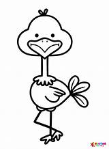 Cute Ostrich Coloring Page sketch template
