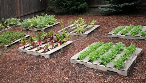 Pallet Vegetable Garden | Pallet Ideas