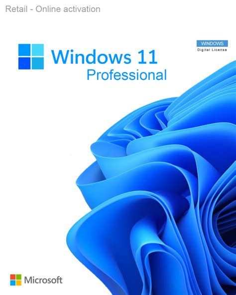 Microsoft Windows 11 Pro (PC) Microsoft Schlüssel GLOBAL, 45% OFF