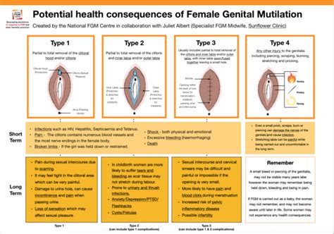 Role of UN Women to end Female Genital Mutilation (FGM) in Somaliland – ICC Study Trip Geneva ...