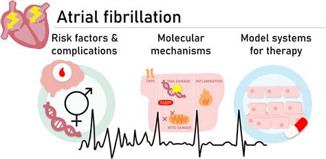 Frontiers | Editorial: Innovative Approaches to Tackle Atrial Fibrillation: From Bench to Bedside