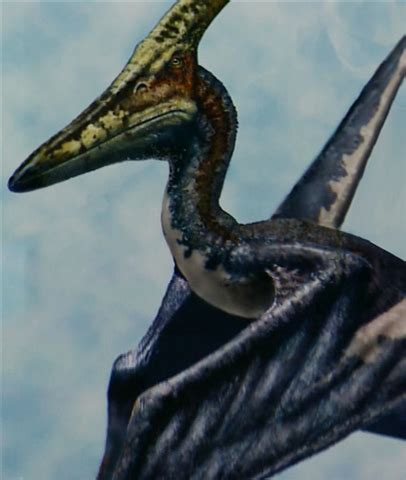 Jurassic Park 3 Concept Art - Male Pteranodon by IndominusRex on DeviantArt