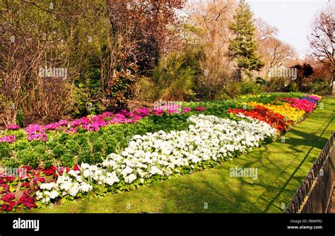 Spring Flowers in St James Park Stock Photo - Alamy
