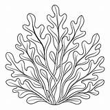 Seaweed Coloring Pages Sketch Of An Illustration  Premium AI Generated sketch template
