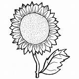 Sunflower Coloring Page At GetDrawings  Free Download sketch template