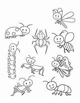 Coloring Pages Of Bugs And Insects A Fun Way To Learn About Natures  sketch template