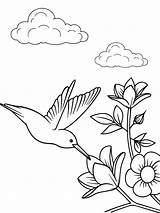 Adorable Hummingbird And Flowers sketch template