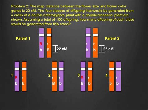 The Usefulness Of Linkage Maps – MudFooted