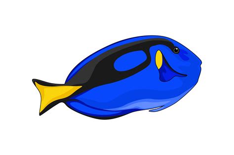 Fish Illustrations Graphic by graphicrun123 · Creative Fabrica