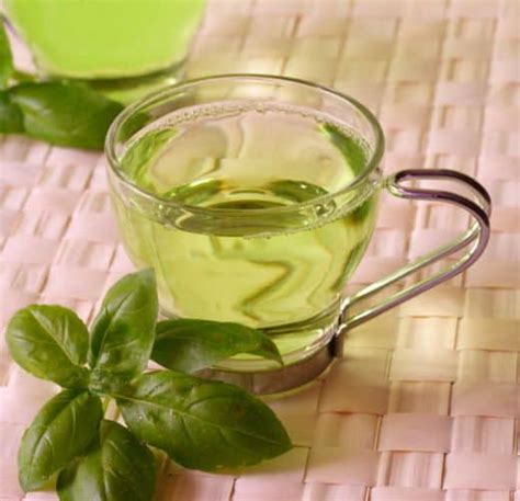 Green Tea for Hair Growth - Zinke Hair Studio