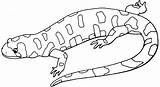 Lizard coloring Pages To Download And Print For free sketch template