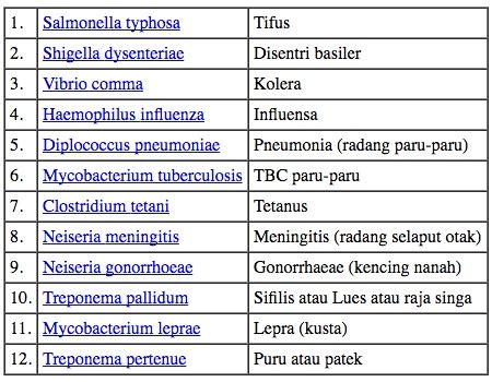 Berbagai Macam Contoh dan Jenis Bakteri Penyebab Penyakit - Blog Apoteker.Net