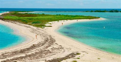 Dry Tortugas National Park | Dry Tortugas Ferry | Yankee Freedom