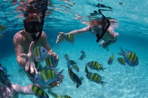 Snorkeling in Cancun | South Africa Today - Travel