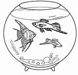 Drei Fische Schwimmen Im Aquarium Zum Ausmalen  Kostenlos Malvorlagen sketch template