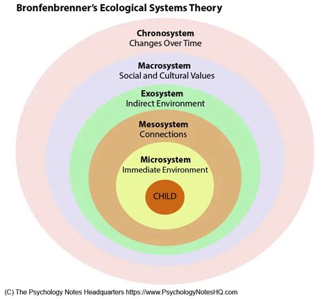 What is Bronfenbrenner's Ecological Systems Theory? - The Psychology Notes Headquarters