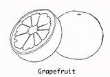 Free To Use grapefruit coloring page Printable For At School Or  sketch template