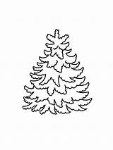 Tree Coloring Page Pages For Kids Free Fir  sketch template