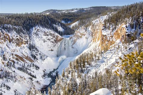 Winter at Grand Canyon of the Yellowstone Photograph by Carolyn Fox ...