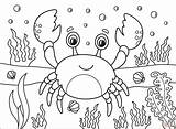 Crab Coloring Page  Free Printable Coloring Pages sketch template