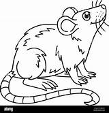 Mouse Coloring Page sketch template