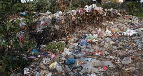 Tumpukan Sampah Plastik - Teritorial.Com