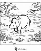 22 Free Hippo Coloring Pages – The Color Cove sketch template