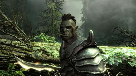 ‘Skyrim’ Will Now React To Your Yells, Via Kinect