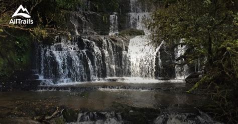 Best Trails near Owaka, Otago New Zealand | AllTrails