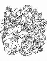 Floral Coloring Pages For Adults  Best Kids sketch template