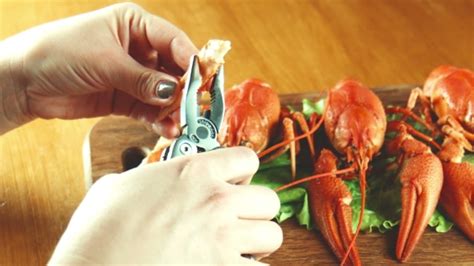 Process Of Eating Of a Crawfish, Stock Footage | VideoHive