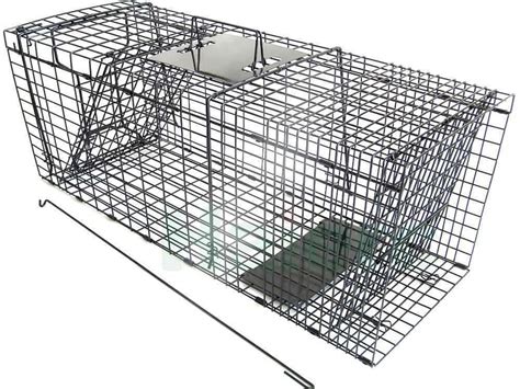 Squirrel Cage Trap