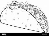 Mexican taco Vector Black And White coloring Page Stock Image  sketch template