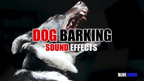 Dog barking sound effects - YouTube