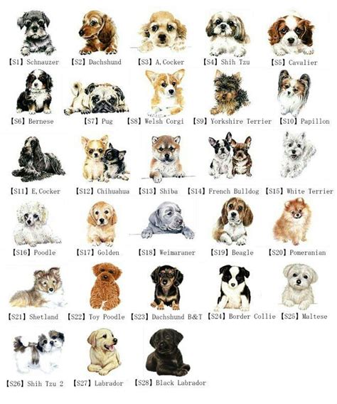 Dog breeds | Perros, Animales